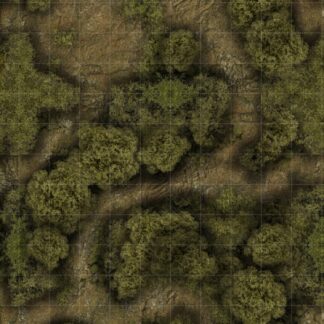 Forest of Oakwood