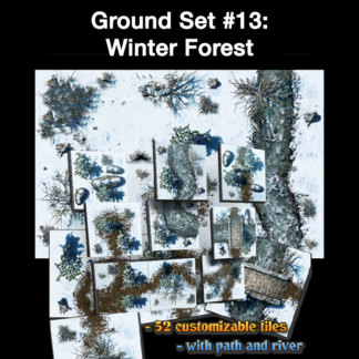 Ground Set #13: Winter Forest