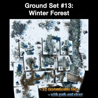 Ground Set #13: Winter Forest