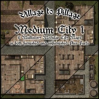 Village to Pillage: Medium City 1