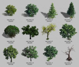 Trees, Rocks & Props – MapForge